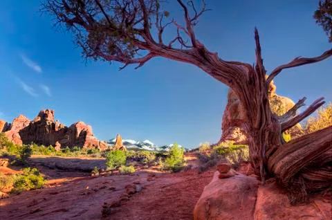 The Windows Trail Stock Photos