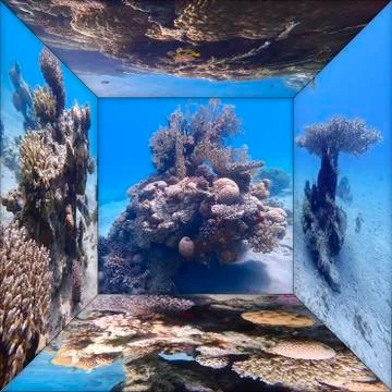 Windows to the underwater world Stock Photos