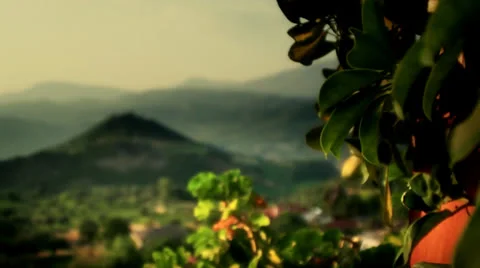 Windows view 2.mp4 Stock Footage 26810907