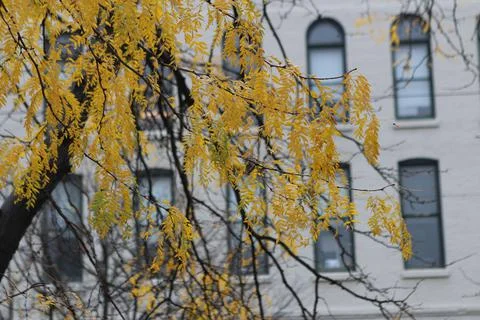 Windows View Stock Photos