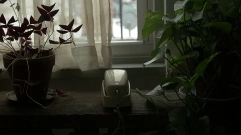 Windowsill with Phone Stock Footage 77191577