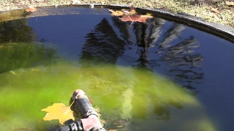 Windpump reflection in water with windpump sound Video stock 112531992