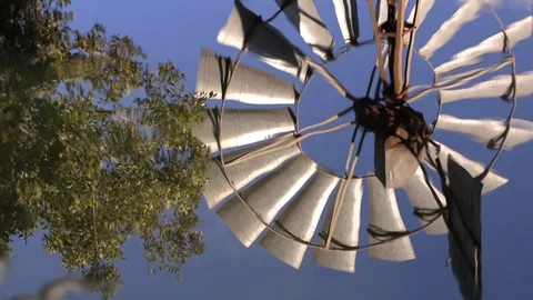 Windpump windmill  reflection in water with bird sounds Stock Footage 112532491