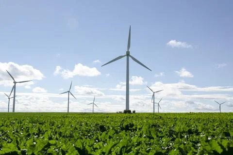 Windräder auf einem Feld Windräder auf einem Feld / Wind turbines on a fie. Stock Photos