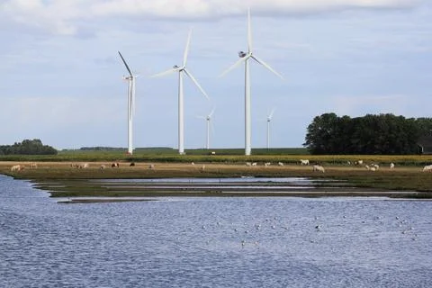 Windrder   Wind turbines Stock Photos