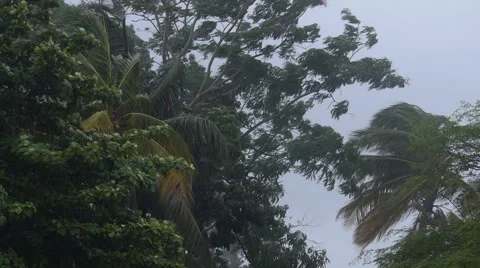 Winds and rain of storm bertha Stock Footage 40611333