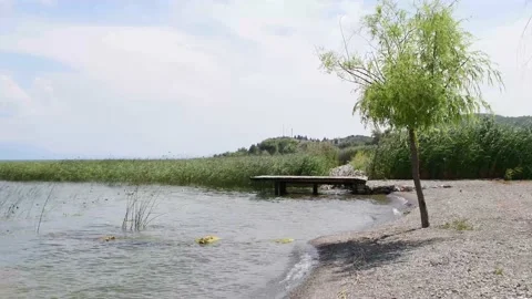 Winds on the shore Stock Footage 163112936