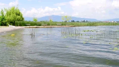 Winds on the shore Stock Footage 163113108