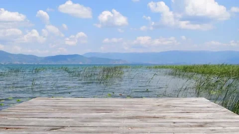 Winds on the shore Stock Footage 163113122