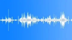 Winds - Trees Gently Sway and Creak in the Wind Sound Effect