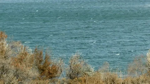 Winds on the Water Stock Footage 54707438