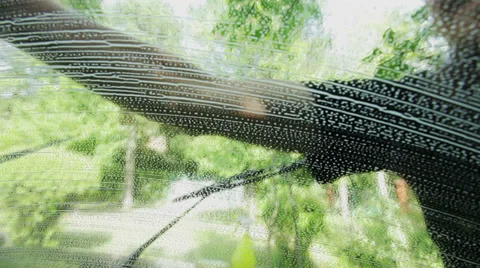 Windscreen cleaning Stock Footage 35849817