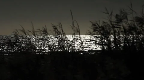 Windserfer backlight Stock Footage 1007498