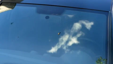 The windshield of a car with bird droppings. Bird poop on a car window. Stock-Footage 157691103