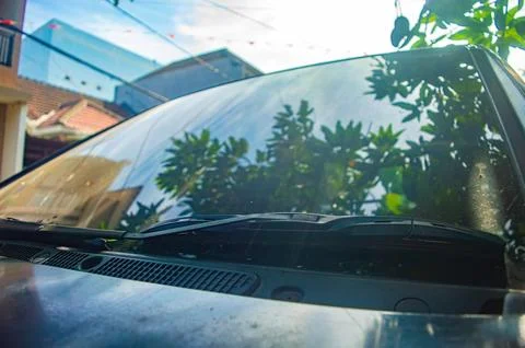 Windshield of parked car reflecting trees and sky with wipers at rest captu.. Stock-Fotos