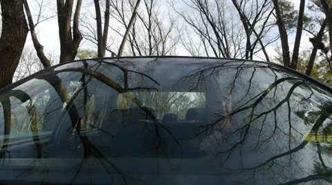Windshield reflection. Driving a car. Stock Footage 24598503