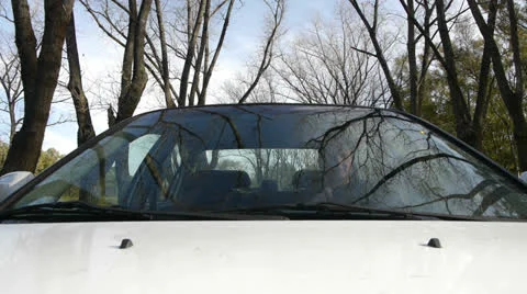 Windshield reflection. Driving a car. Stock Footage 24603225