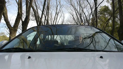 Windshield reflection. Driving a car. Stock Footage 24603786