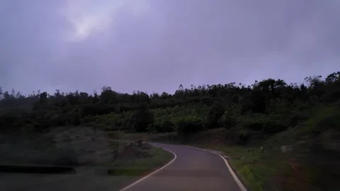 Windshield View Car Driving in Evening Forest Stock Footage 334945960