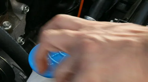 Windshield washer fluid being topped off Stock Footage 842823