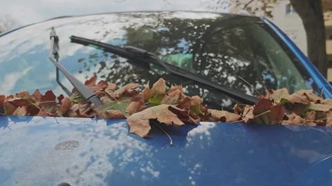 Windshield wipers on a blue car cleaning a pile of dry autumn leaves Stock Footage 343961567