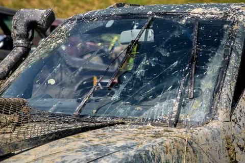 Windshield wipers with washers clean the windshield from the swamp. Stock Photos