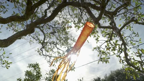 Windsock blowing on a fall day Stock Footage 98200966