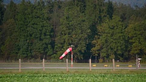 Windsock with green forest in the background Stock Footage 164681867