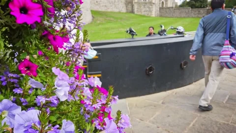 Windsor Castle gate. Pan from flowers and security barrier -  4k footage Stock-Footage 139933583