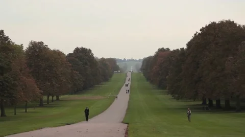 Windsor Great Park Video stock 68595032