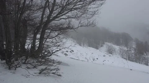 Windstorm and snow in the high mountains Video stock 153285331