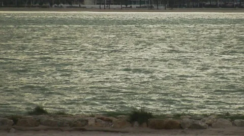 Windsurf Vidéo 298578