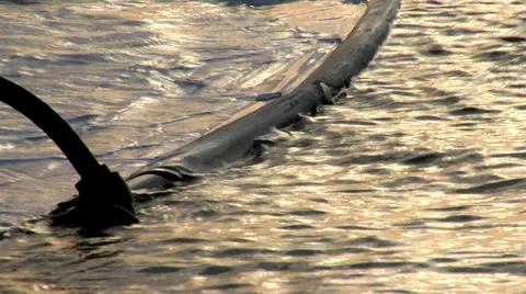 Windsurf lying in water Stock Footage 33331469