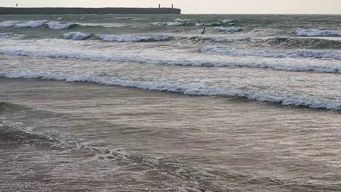 Windsurfer on beach, Tramor beach, County of Waterford, Republic of Ireland Stock Footage 71196126