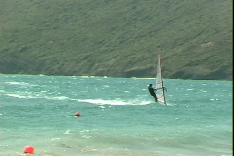 Windsurfer-pan Video stock 821104