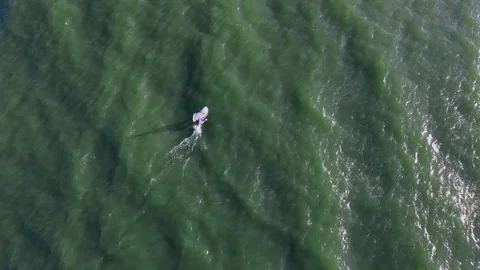 Windsurfer rides on the waves. Video stock 116667939