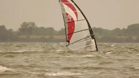 Windsurfer in summer Video stock 252182042
