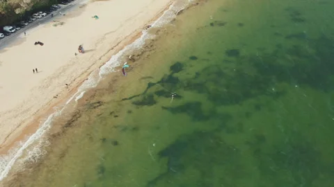 Windsurfer with Wing Foiling sailing on a sea beach, top down aerial view Stock Footage 241421183
