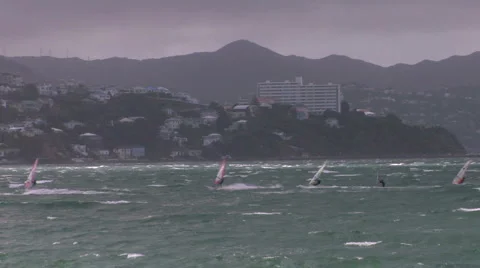 Windsurfers sailboarding Video stock 1036181