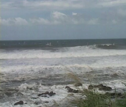 Windsurfing 11 Stock Footage 356907