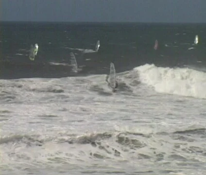 Windsurfing 18 Stock Footage 310129