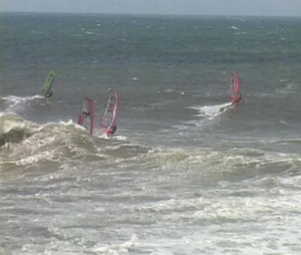 Windsurfing 24 Stock Footage 356919