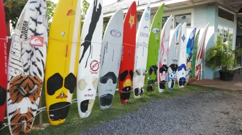 Windsurfing boards tracking shot Stock Footage 55775829