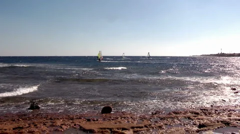 Windsurfing Stock Footage 1101941