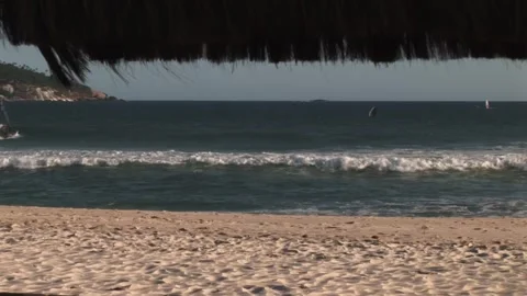 Windsurfing Stock Footage 315594931