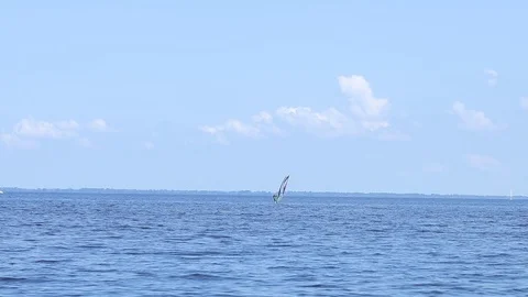 Windsurfing on the river Stock Footage 109478278