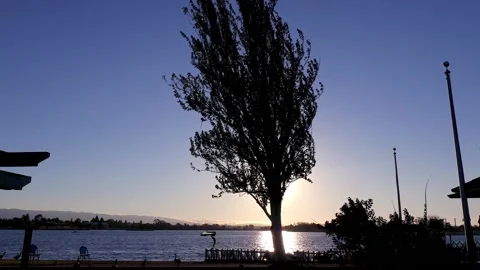 Windsurfing at Sunset Stock Footage 156678170