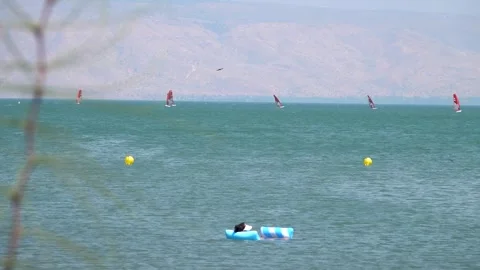 Windsurfing, Surfers doing windsurfing  스톡 동영상 256896584