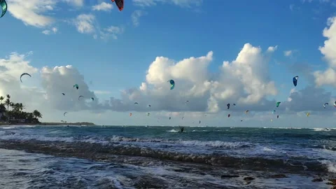 Windsurfing on the tropical coast Stock Footage 172393568