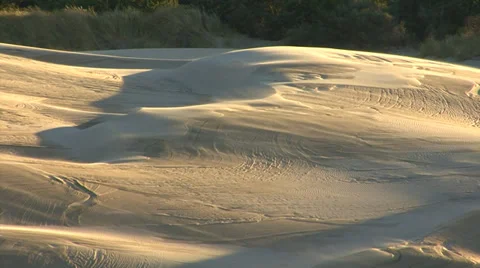 Windswept Dunes Stock Footage 37161029